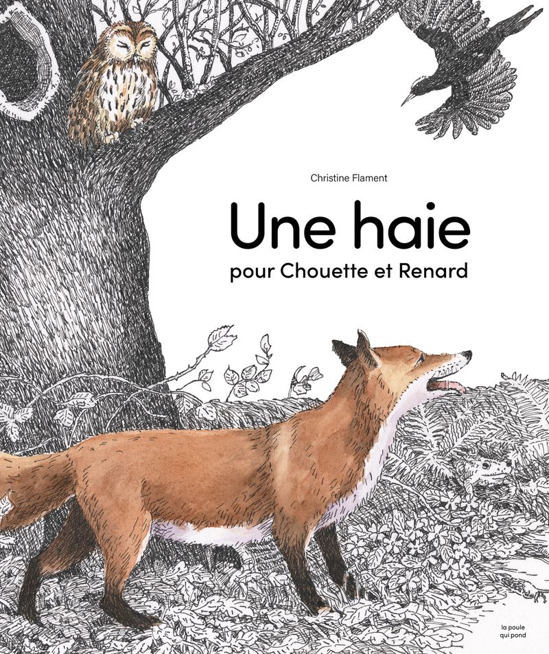 UNE HAIE POUR CHOUETTE ET RENARD