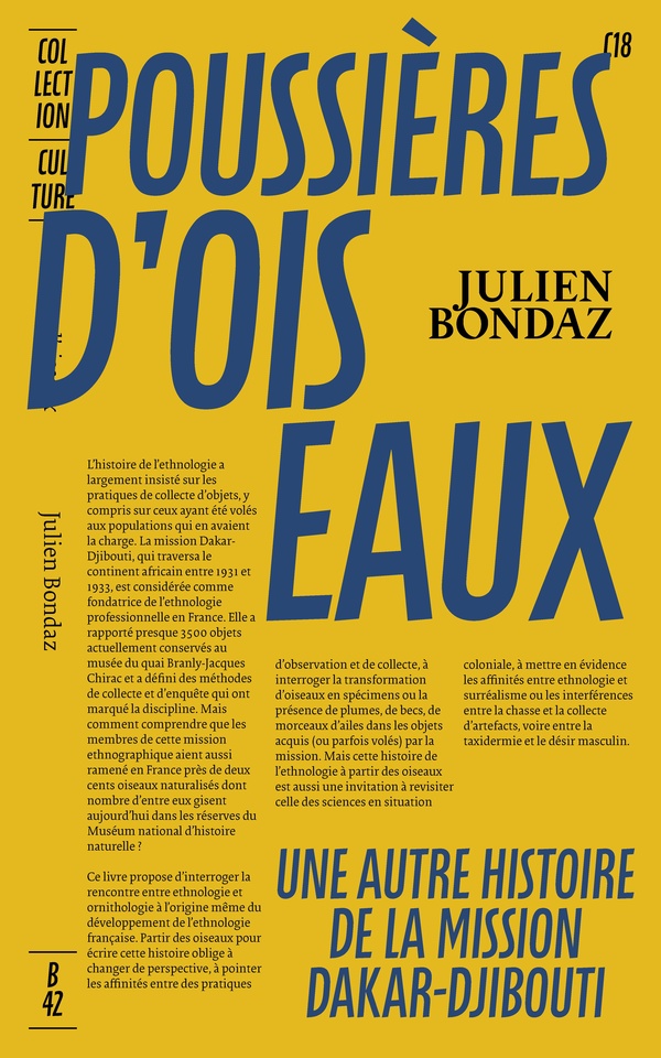 POUSSIERE D'OISEAUX - UNE AUTRE HISTOIRE DE LA MISSION DAKAR-DJIBOUTI - ILLUSTRATIONS, COULEUR