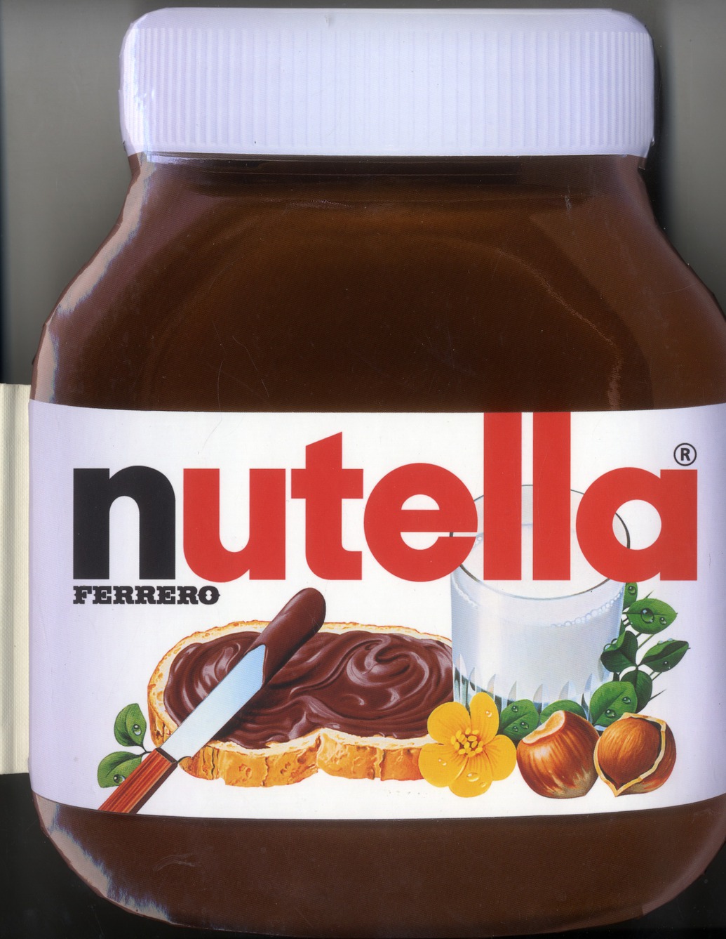 LE GRAND LIVRE FORME NUTELLA