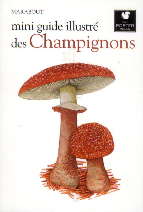 MINI GUIDE ILLUSTRE DES CHAMPIGNONS