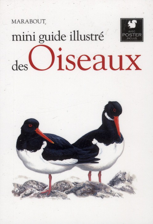 MINI GUIDE ILLUSTRE DES OISEAUX