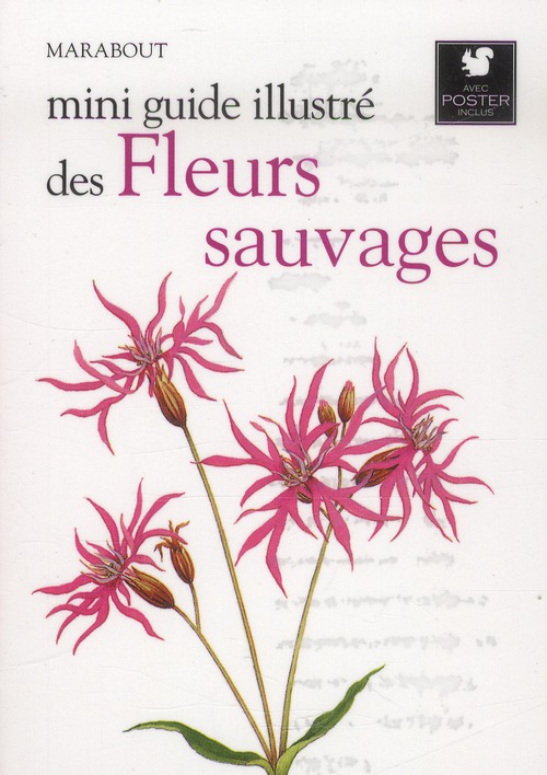 MINI GUIDE ILLUSTRE DES FLEURS SAUVAGES