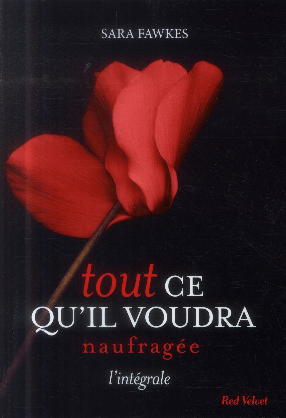 TOUT CE QU IL VOUDRA NAUFRAGEE - EPS 6 7 8 9