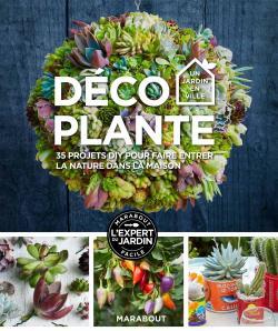 DECO PLANTE