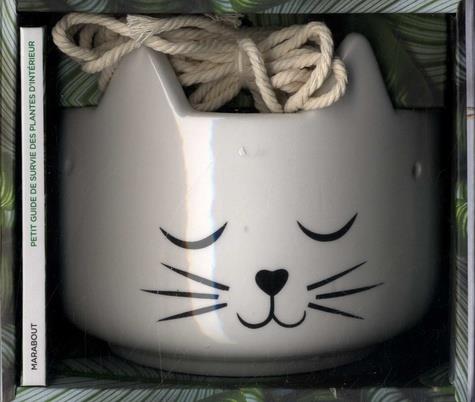 CHAT POUSSE ! - ET CHAT DECORE