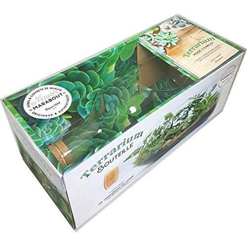 COFFRET TERRARIUM BOUTEILLE