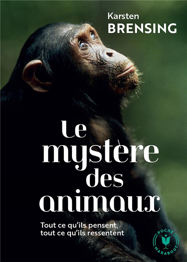 LE MYSTERE DES ANIMAUX