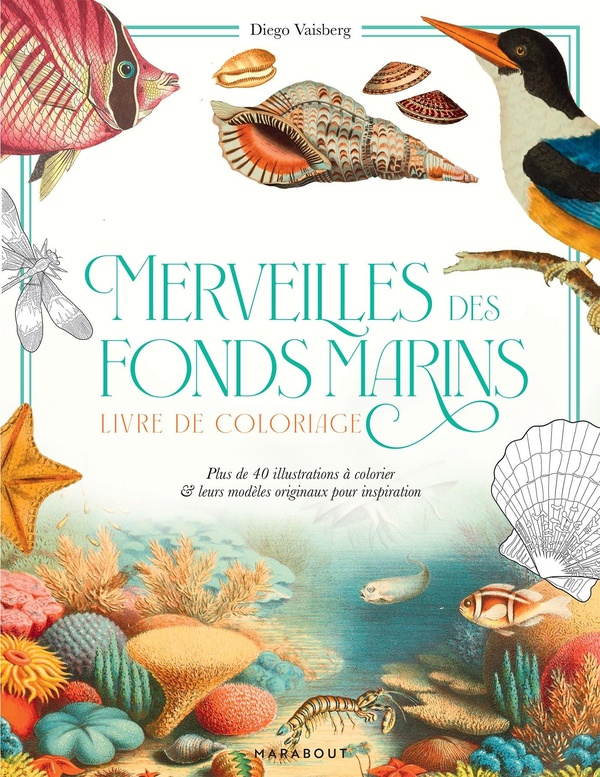 MERVEILLES DES FONDS MARINS - CARNET DE COLORIAGE AVEC MODELES EN COULEUR
