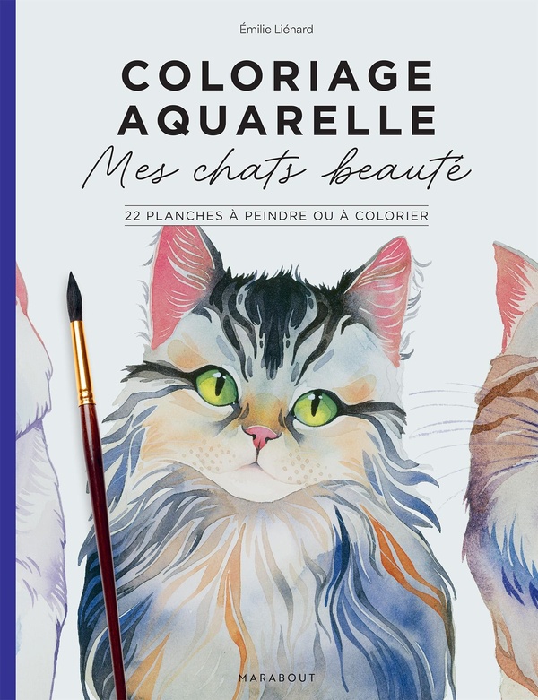 MES CHATS BEAUTES