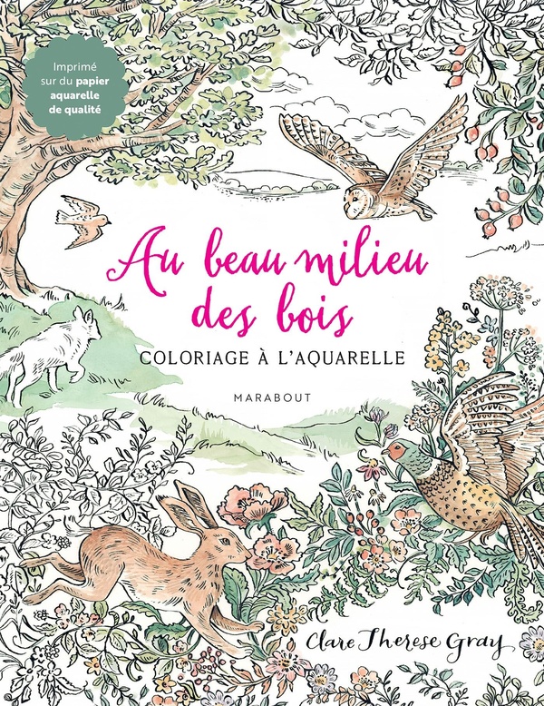 AU BEAU MILIEU DES BOIS - CARNET DE COLORIAGES FORESTIERS