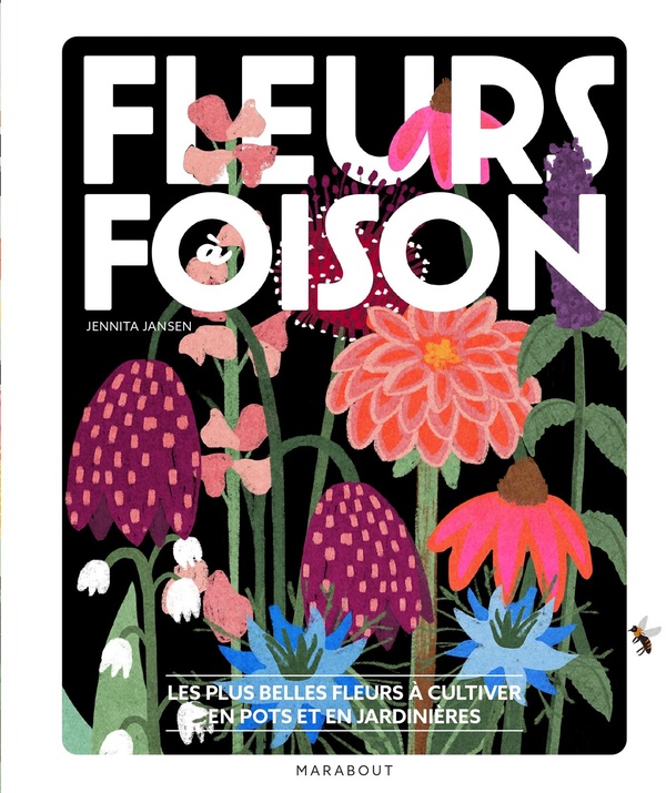 DES FLEURS A FOISON DANS MA MAISON