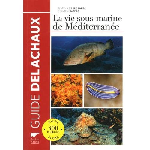 LA VIE SOUS-MARINE DE MEDITERRANEE