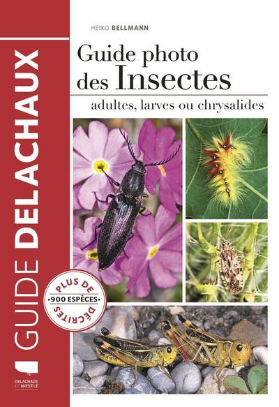 GUIDE PHOTO DES INSECTES - ADULTES, LARVES OU CHRYSALIDES