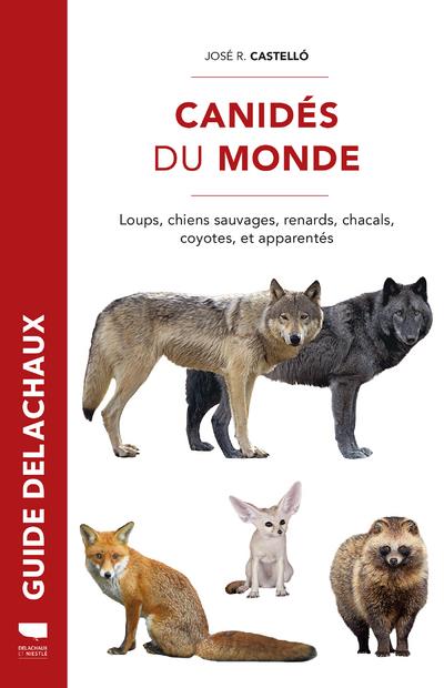 CANIDES DU MONDE - LOUPS, CHIENS SAUVAGES, RENARDS, CHACALS, COYOTES, ET APPARENTES