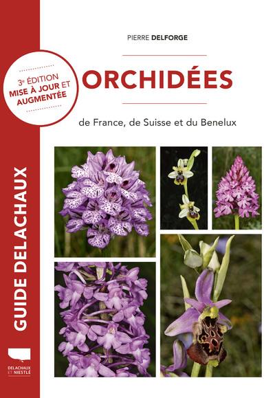 BOTANIQUE ORCHIDEES DE FRANCE, DE SUISSE ET DU BENELUX