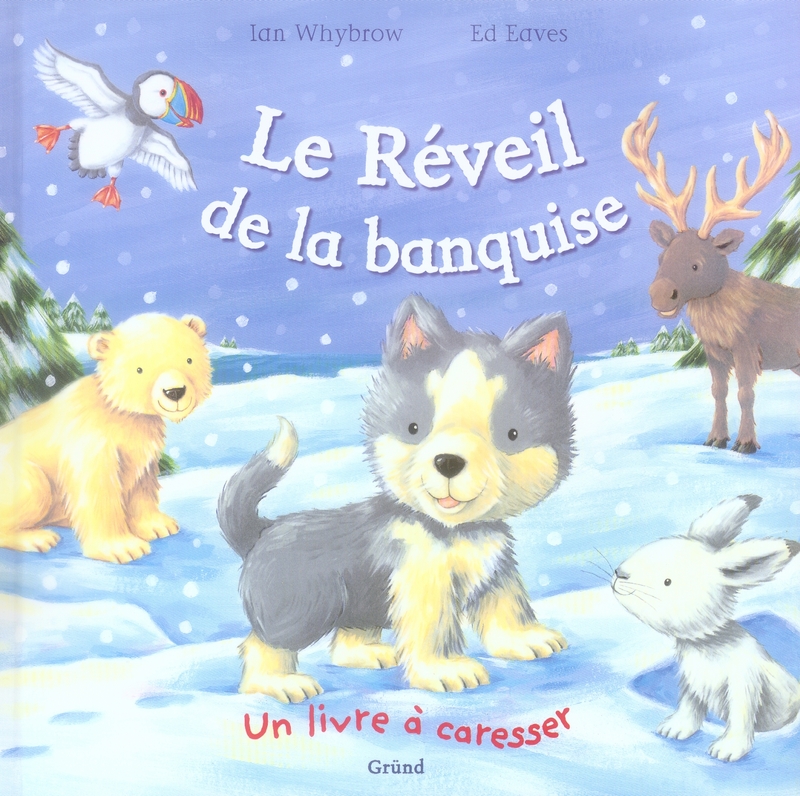 LE REVEIL DE LA BANQUISE