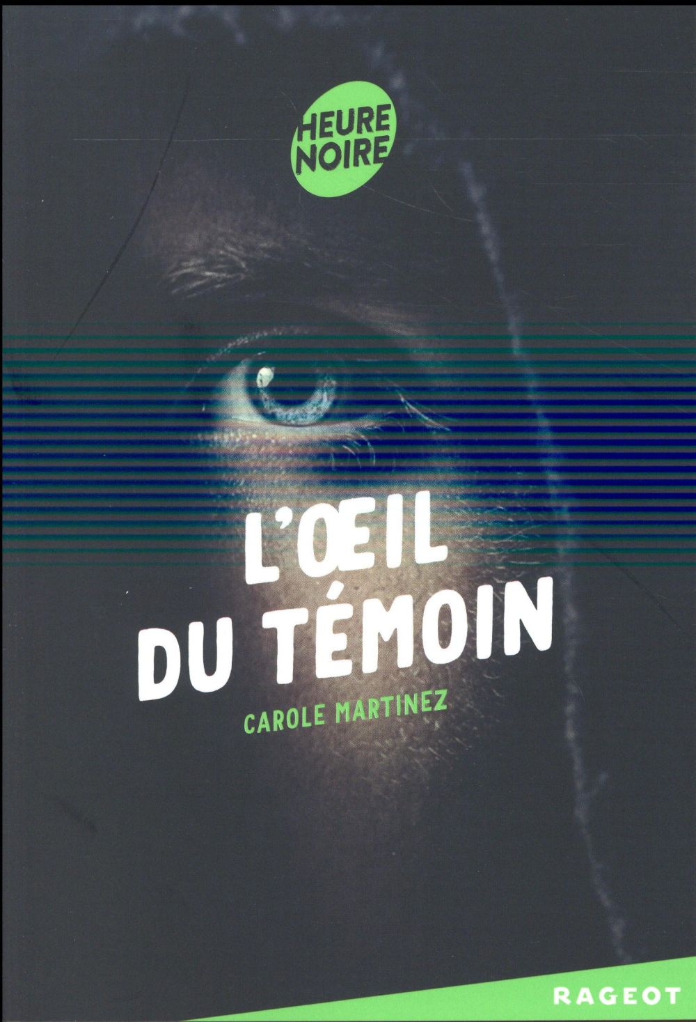 L'OEIL DU TEMOIN