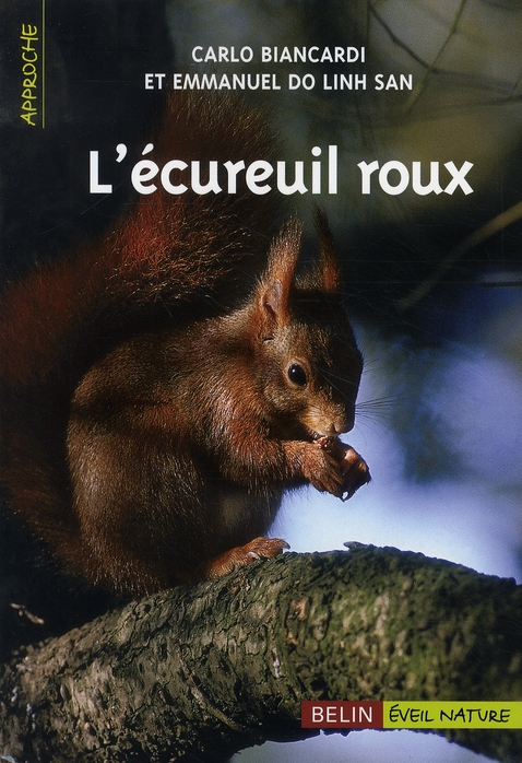 L'ECUREUIL ROUX