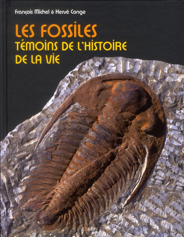 LES FOSSILES - TEMOINS DE L'HISTOIRE DE LA VIE