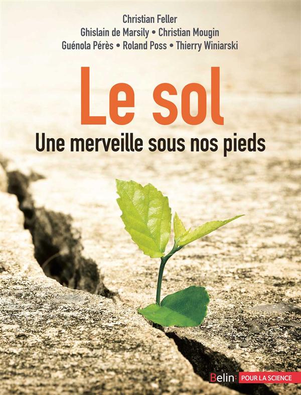 LE SOL - UNE MERVEILLE SOUS NOS PIEDS