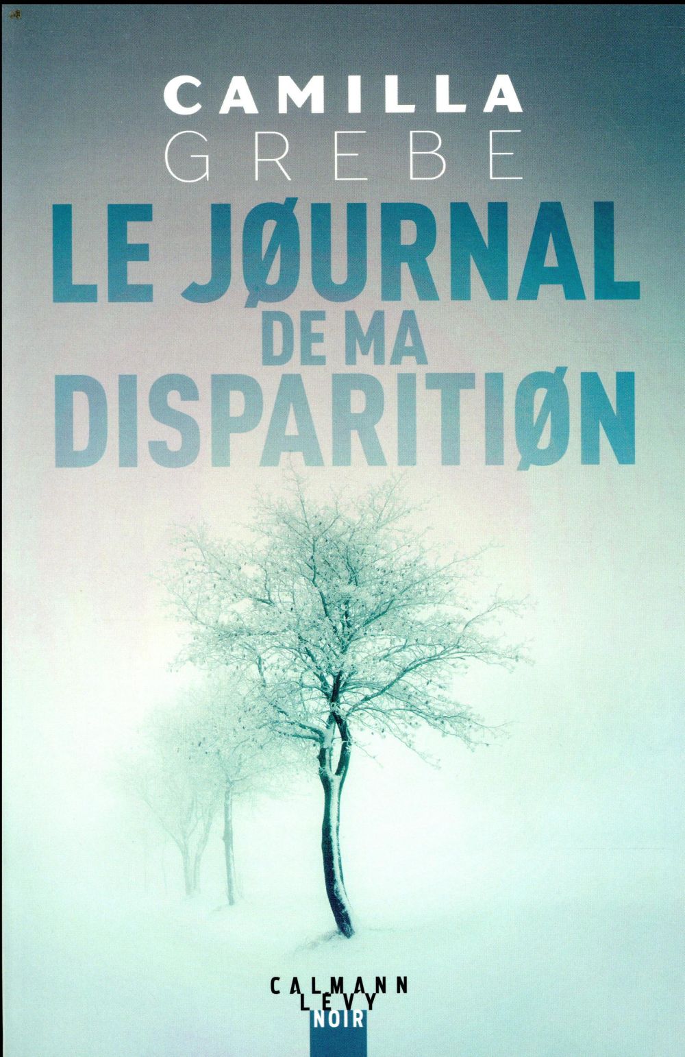 LE JOURNAL DE MA DISPARITION