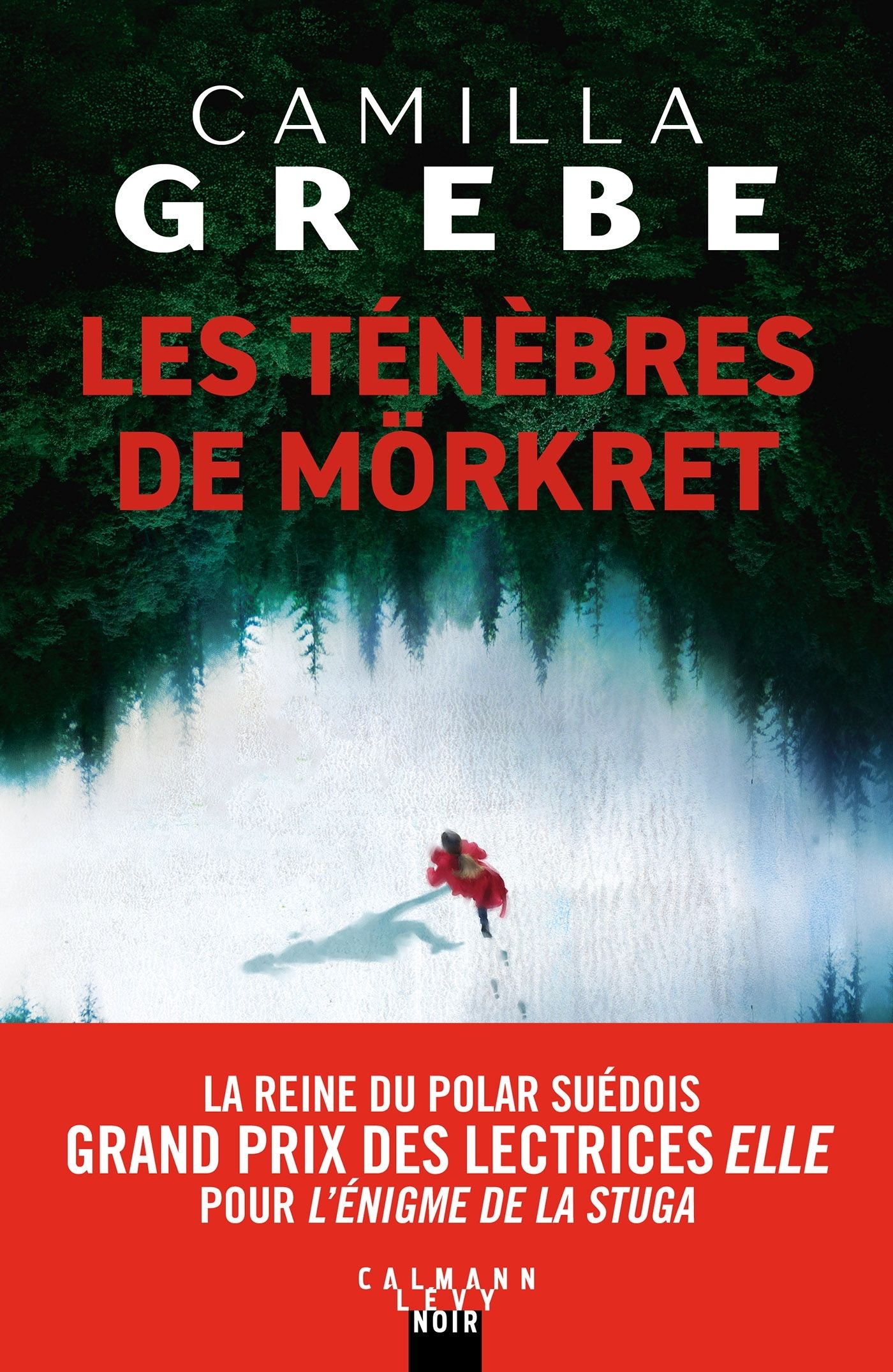 LES TENEBRES DE MORKRET