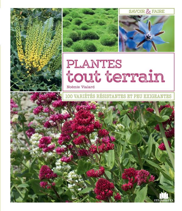 PLANTES TOUT TERRAIN