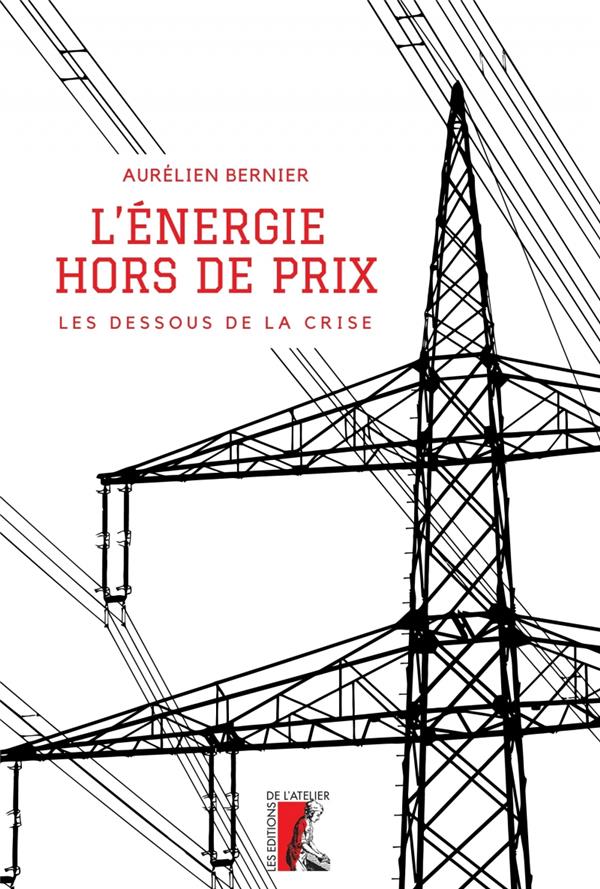 L'ENERGIE, HORS DE PRIX - LES DESSOUS DE LA CRISE