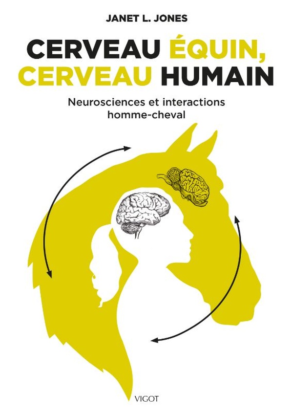 CERVEAU EQUIN, CERVEAU HUMAIN - NEUROSCIENCES ET INTERACTIONS HOMME-CHEVAL