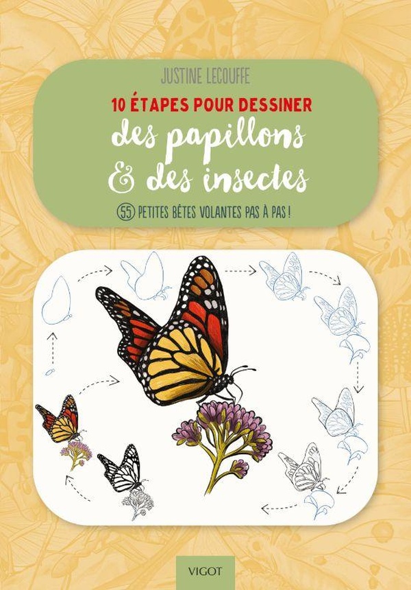 10 ETAPES POUR DESSINER DES PAPILLONS ET DES INSECTES - 55 PETITES BETES VOLANTES PAS A PAS ! - ILLU
