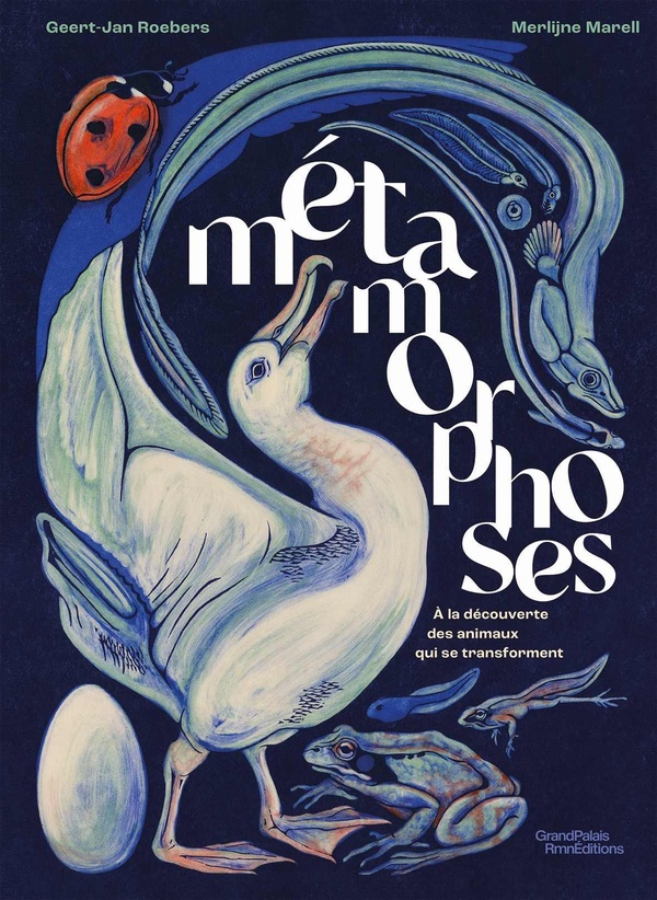METAMORPHOSES
