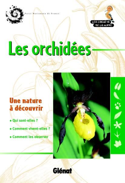 LES ORCHIDEES SAUVAGES