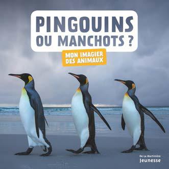 PINGOUINS OU MANCHOTS ? - MON IMAGIER DES ANIMAUX