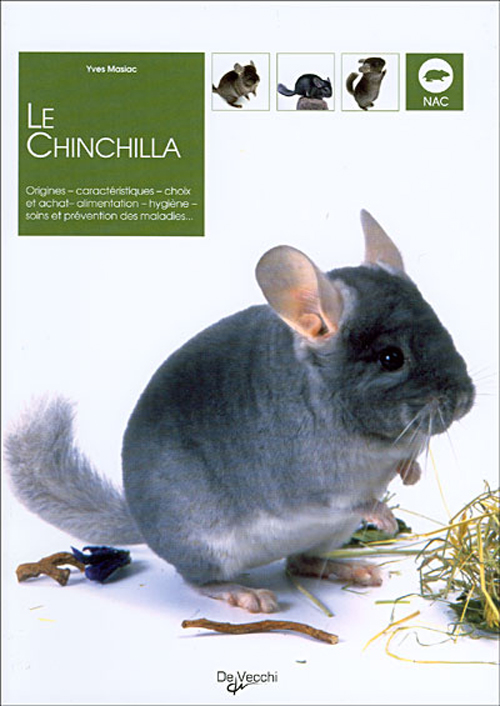 CHINCHILLA