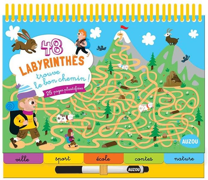48 LABYRINTHES - TROUVE LE BON CHEMIN !