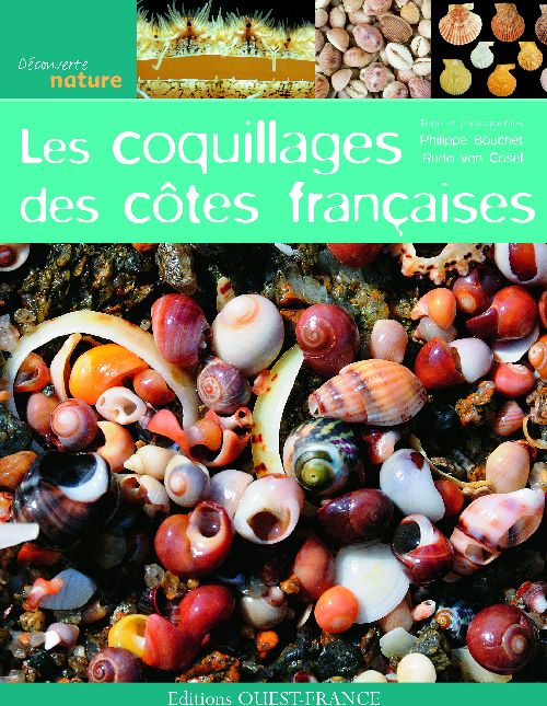 LES COQUILLAGES DES COTES FRANCAISES