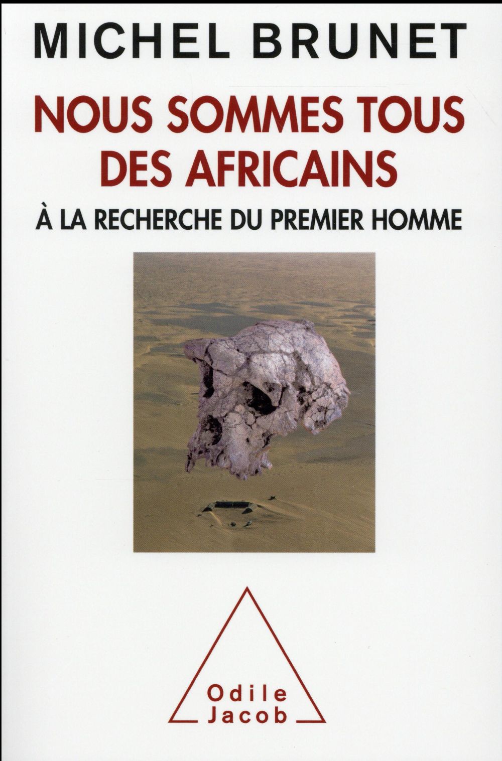 NOUS SOMMES TOUS DES AFRICAINS - A LA RECHERCHE DU PREMIER HOMME