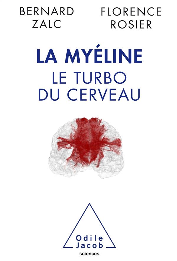 LA MYELINE - LE TURBO DU CERVEAU