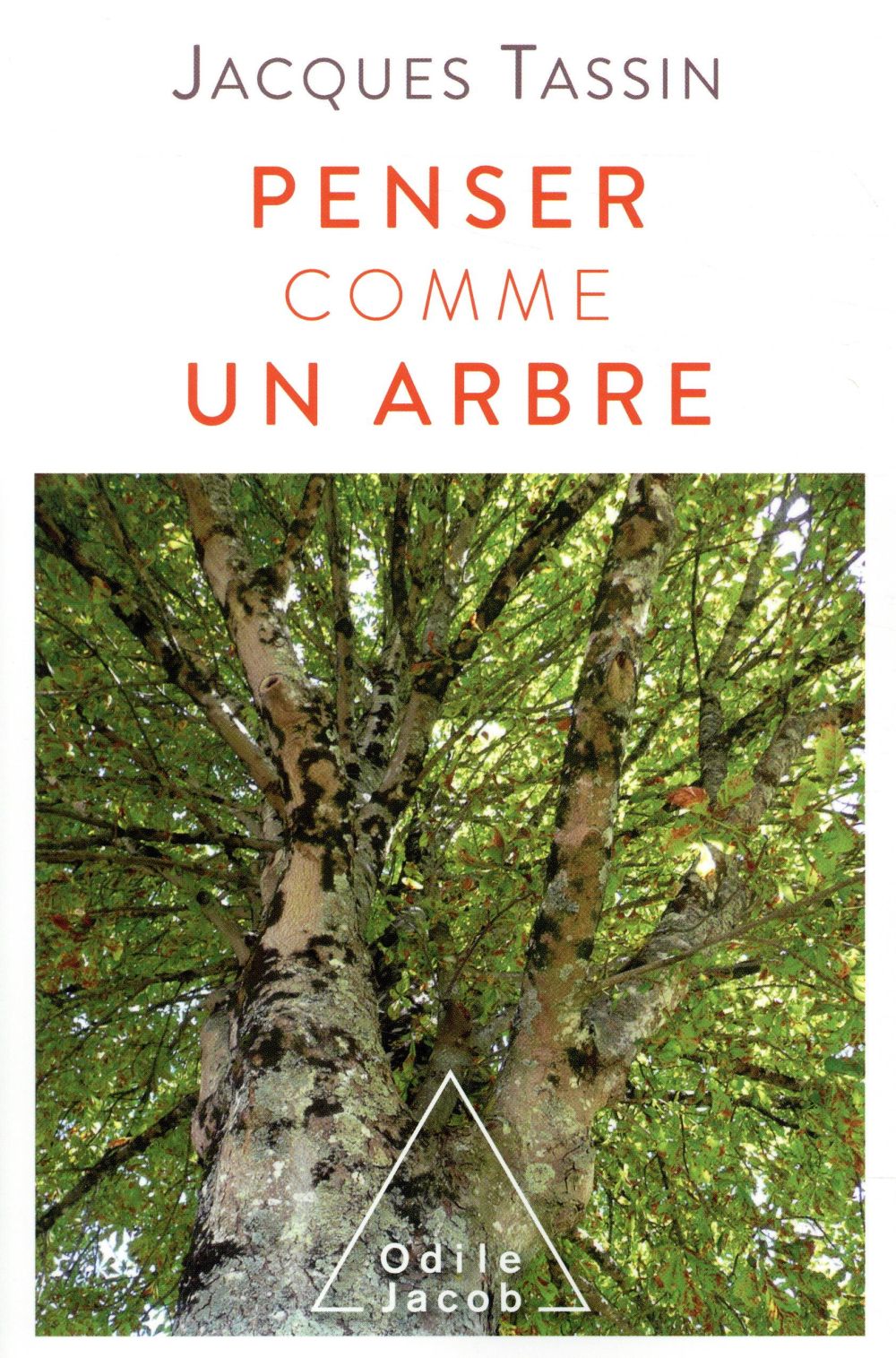 PENSER COMME UN ARBRE