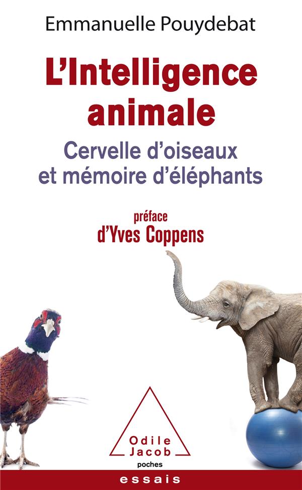 L'INTELLIGENCE ANIMALE