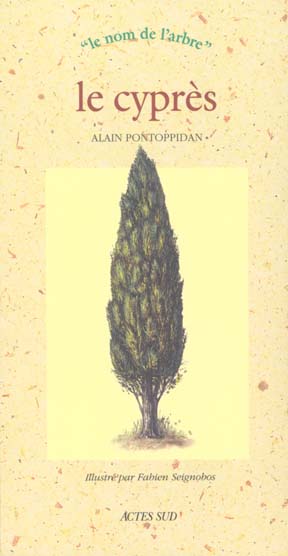LE CYPRES -  LE NOM DE L?ARBRE