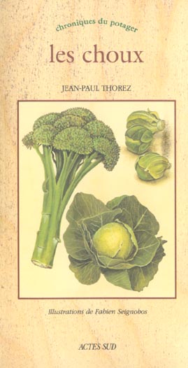 CHOUX (LES) - CHRONIQUES DU POTAGER