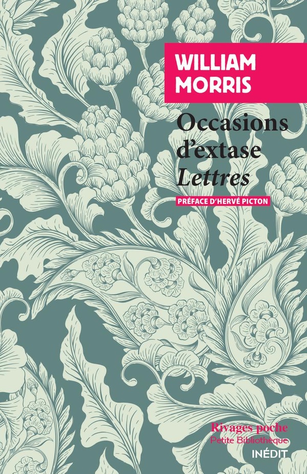 OCCASIONS D'EXTASE - LETTRES