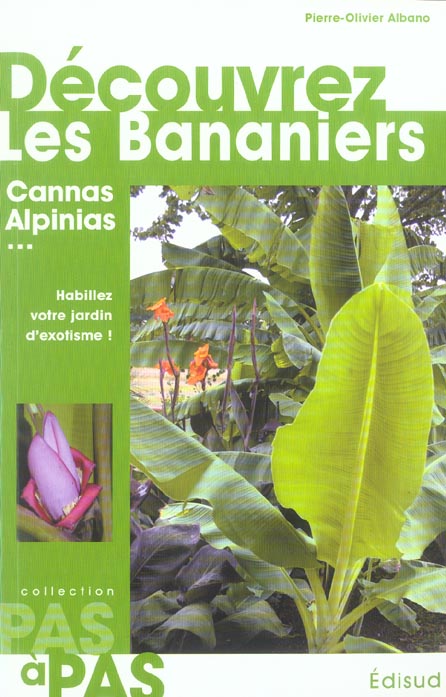 DECOUVREZ LES BANANIERS CANNAS ALPINIAS PAS A PAS