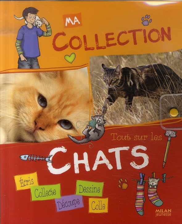 TOUT SUR LES CHATS