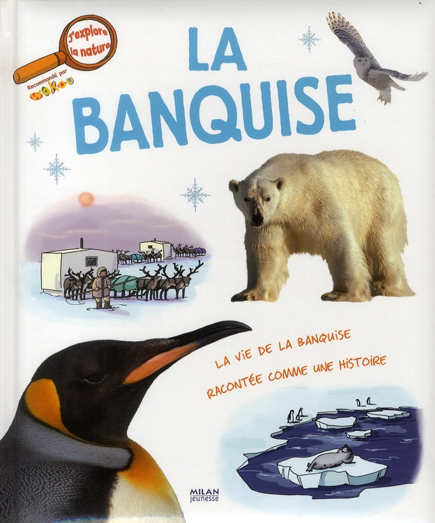 LA BANQUISE