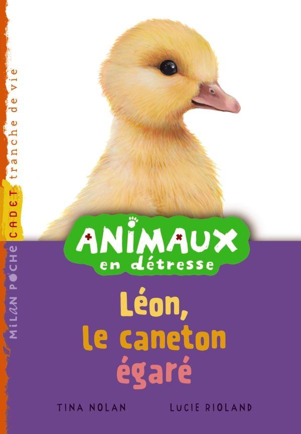 ANIMAUX EN DETRESSE