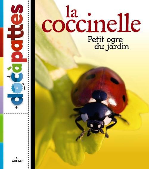 COCCINELLE