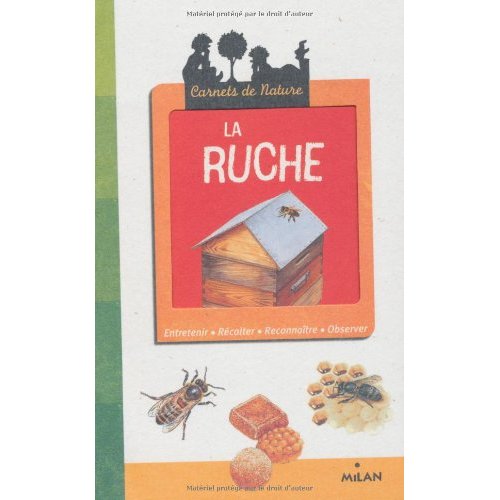 LA RUCHE - DE LEON ROGEZ, ILLUTRE PAR BENOIT CHARLES