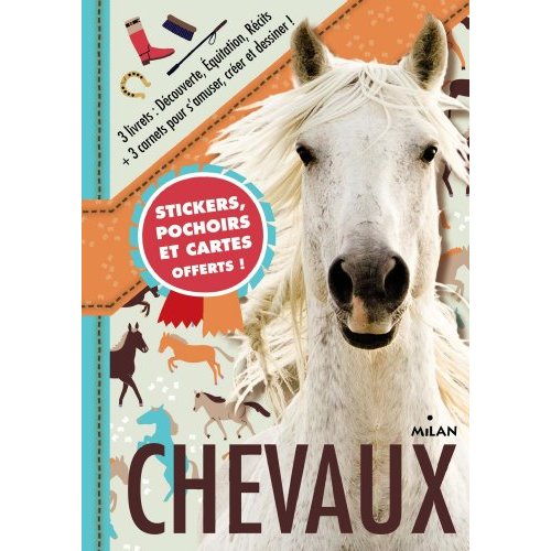 CARNETS DE CHEVAUX